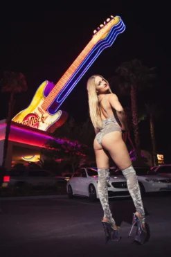 Paradise Chick Animal Leg Warmers (with Kneepads) - Silver Velvet -Radi Style Shop AlloyPCVegas17 5813