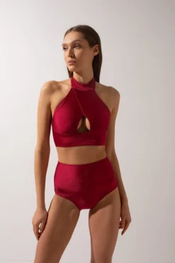 Shark Polewear High Waist Shorts - Wine