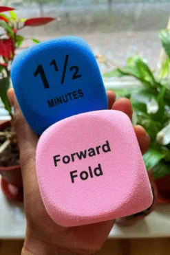 The Enviro Co. Pole Dice - Flexibility -Radi Style Shop IMG 1878 1