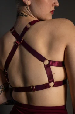 Tatiana Activewear Tokio Top - Wine -Radi Style Shop TatianaActive TokioWineRedBurgundyHighWaistedPoleWearDancingSet 5215