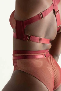 Tatiana Activewear Yuki Shorts - Burgundy Mesh -Radi Style Shop TatianaActive YukiBurgundyMeshPoleWearSet 7734 1