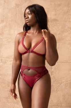 Tatiana Activewear Kaizen Top - Burgundy 15 Tatiana Activewear Kaizen Top - Burgundy -Radi Style Shop TatianaActiveKaizenBurgundyPoleWearSet15cropped 6b0d8402 f7a4 4441 a2d9 b24a16e42b22