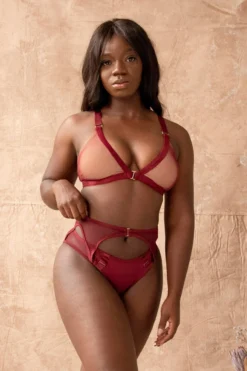 Tatiana Activewear Kaizen Shorts - Burgundy -Radi Style Shop TatianaActiveKaizenBurgundyPoleWearSet5cropped