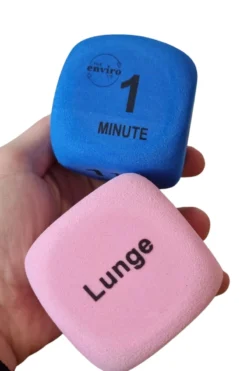 The Enviro Co. Pole Dice - Flexibility -Radi Style Shop Untitleddesign 2022 05 11T135555 403 1024x1024 2x png 1