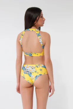 Pole Addict Openback Top - Floria 9 Pole Addict Openback Top - Floria -Radi Style Shop floria7 5546d23d 168e 4fe1 8956 241367a96ca8