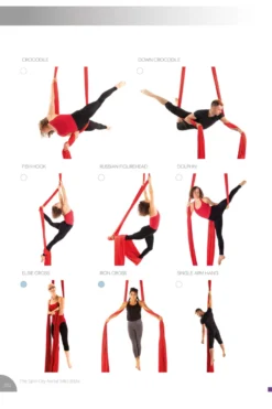 Spin City The Ultimate Silks Bible -Radi Style Shop slice7